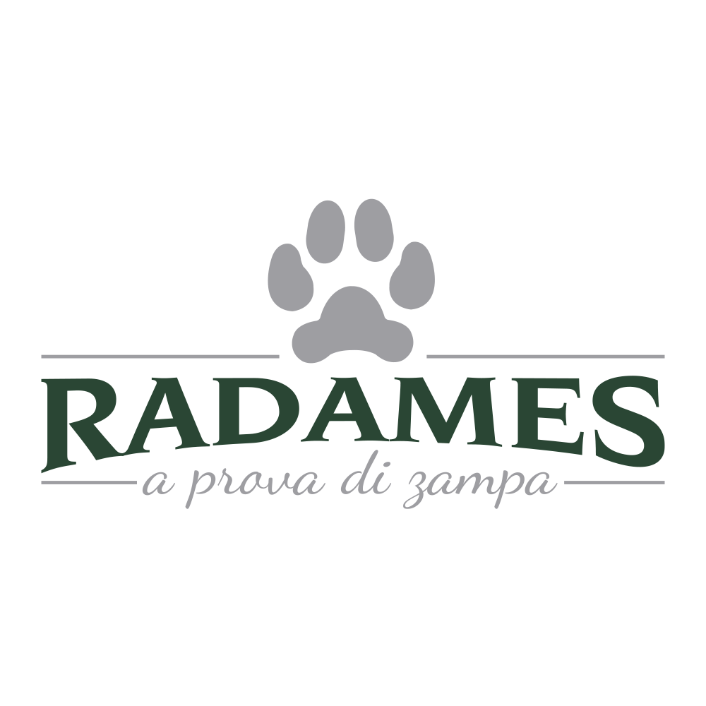 Logo Radames