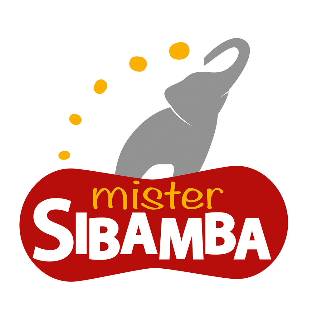 Logo Mister Sibamba